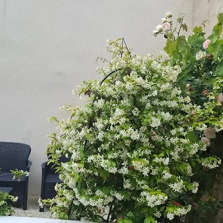 Petit Moment De Paix Apartamento Châtellerault