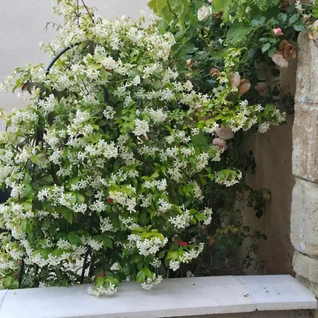 Petit Moment De Paix Châtellerault